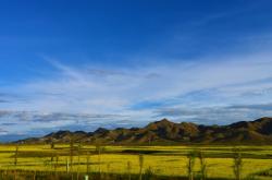 赤峰晨美家政團購電話號碼