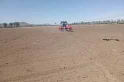 赤峰市玉米加工企業(yè)電話號碼