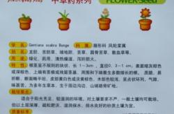 赤峰明艷花卉種子店電話號(hào)碼