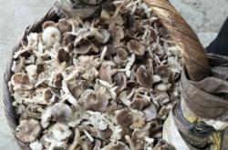 赤峰屠宰場出售電話地址查詢