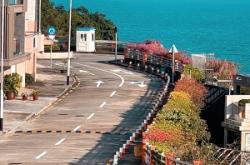 澳門路居委會(huì)電話