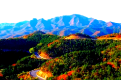 赤峰魅力皇爵電話號(hào)碼查詢(xún)