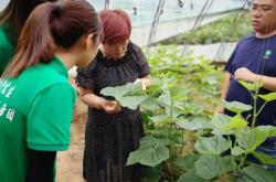 赤峰蔬菜代采電話是多少號