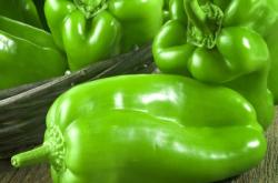 赤峰蔬坊蔬菜配送電話號碼