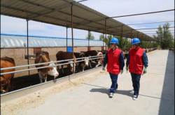 赤峰賣(mài)家電的地方