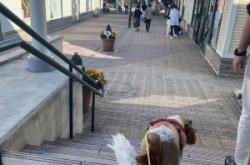 赤峰奧萊奢侈品館電話號(hào)碼