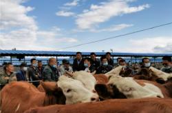 赤峰到林西統(tǒng)部客車(chē)電話(huà)號(hào)碼