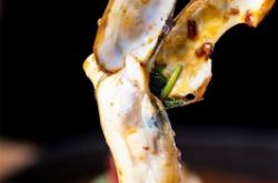 赤峰豪程海鮮電話(huà)號(hào)碼多少