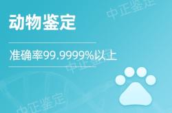 赤峰dna親子鑒定中心電話號碼