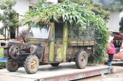 赤峰青儲(chǔ)玉米回收電話地址查詢