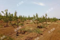 赤峰寧城倉儲電話號碼多少號