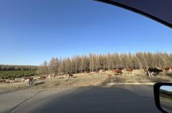 商洛到赤峰貨運電話多少號