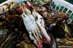 赤峰財神養(yǎng)殖場地址電話號碼