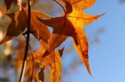 內(nèi)蒙古赤峰金碧物業(yè)電話號(hào)碼