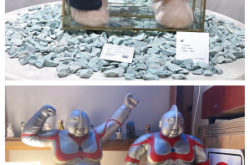 赤峰diy氈毛玩偶店電話號(hào)碼