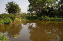 赤峰承包魚塘電話號碼查詢是多少