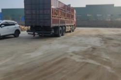 赤峰牛羊草料廠家電話號碼