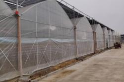 赤峰大棚施工隊(duì)電話地址查詢