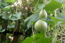 赤峰錦山賓館土菜館電話號(hào)碼