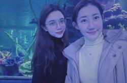 赤峰摩爾城高鐵站電話號碼