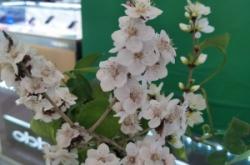 赤峰林東美甲店電話多少號(hào)