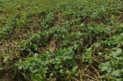 赤峰元澤食品廠電話號碼