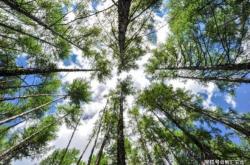 赤峰景區(qū)管理房地產(chǎn)電話號碼