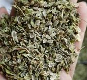 赤峰市種子檢測中心電話號碼