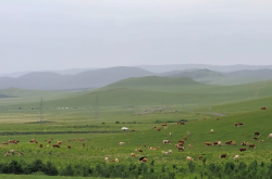 錦州到赤峰汽車電話多少號
