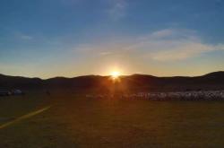 赤峰24小時洗衣烘干電話號碼