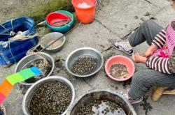 赤峰水母擺攤電話地址是多少號(hào)