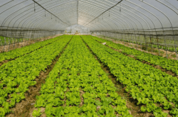 赤峰公路保溫草簾廠電話號(hào)碼