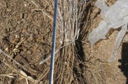 赤峰廢機(jī)油出售電話號(hào)碼查詢