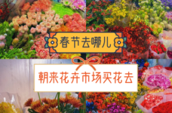赤峰花卉市場(chǎng)買(mǎi)花的電話是多少