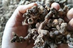 赤峰朱砂批發(fā)市場電話號碼