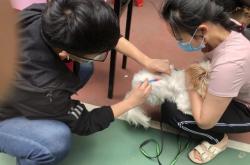 赤峰狂犬疫苗站電話號碼是多少