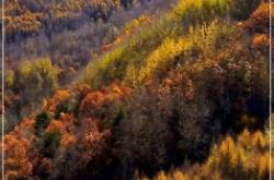 赤峰寧城抵押車電話號碼查詢