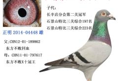 赤峰中信國金電話號(hào)碼查詢