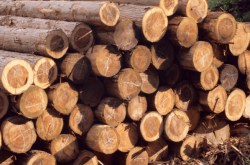 赤峰檜木團(tuán)購(gòu)電話號(hào)碼查詢(xún)