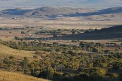 赤峰藍旗養(yǎng)牛場電話號碼