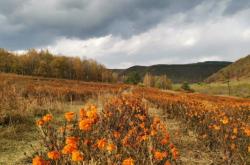 赤峰美林谷滑雪場(chǎng)門(mén)票團(tuán)購(gòu)