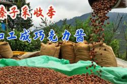 赤峰果仁加工廠家電話號碼