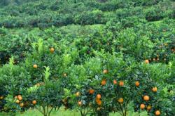 赤峰萬(wàn)悅城落日基地電話號(hào)碼