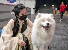 赤峰動物園漢服店電話號碼