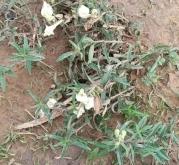 赤峰松山區(qū)收廢品電話號(hào)碼