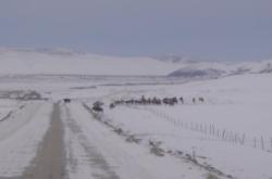 赤峰到白音華客車
