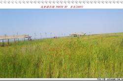 赤峰天鵝湖門票團(tuán)購電話號(hào)碼