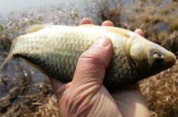 赤峰紅山水庫(kù)垂釣點(diǎn)電話(huà)號(hào)碼