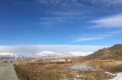 平莊到天義客車(chē)電話(huà)