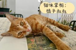 赤峰市貓咪民宿電話號(hào)碼